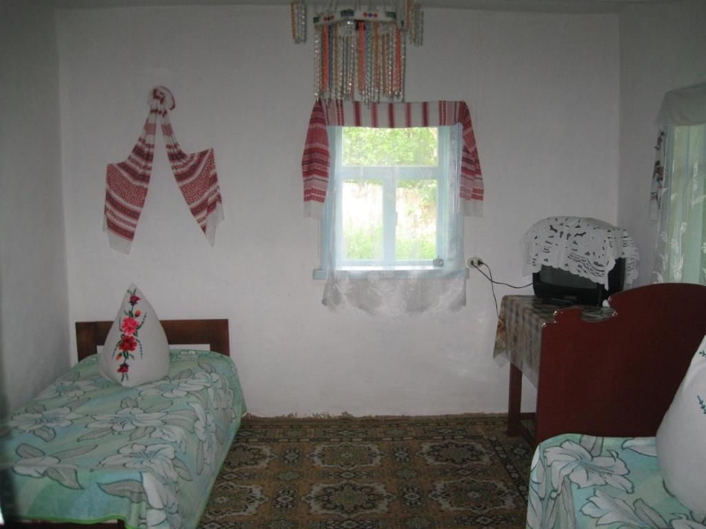 Загородные дома Kalynoviy Kucsh Dmitrenki-15