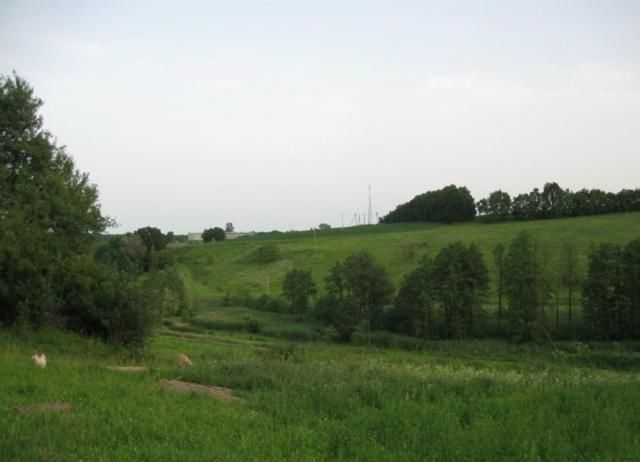 Загородные дома Kalynoviy Kucsh Dmitrenki-39