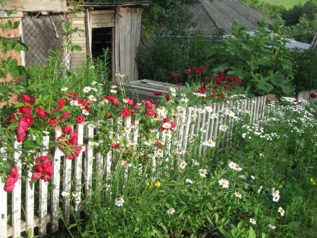 Загородные дома Kalynoviy Kucsh Dmitrenki-8
