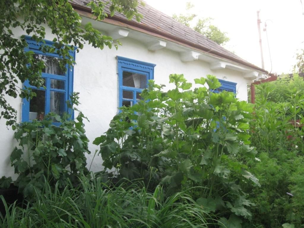 Загородные дома Kalynoviy Kucsh Dmitrenki-58