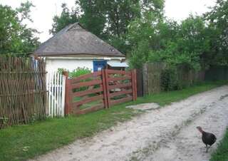 Загородные дома Kalynoviy Kucsh Dmitrenki Семейный номер-2